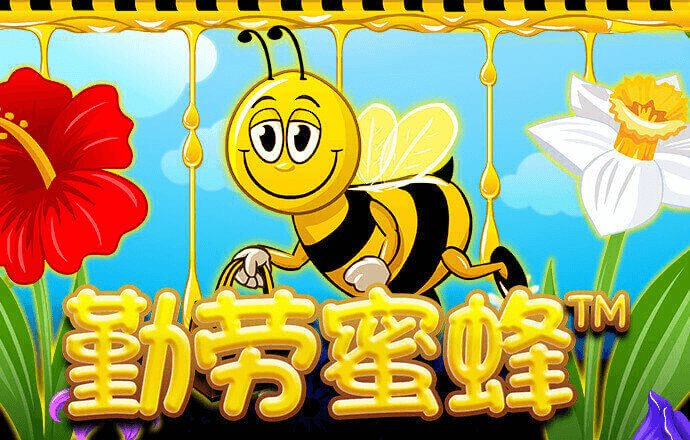 九州国际app下载